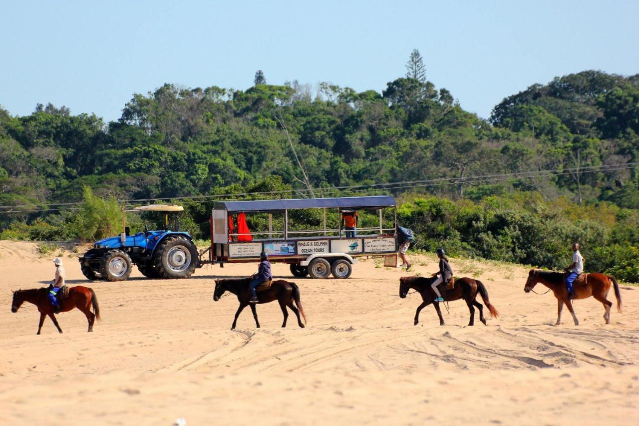 Saint Lucia Estuary 62 Hornbill Street 빌라 외부 사진